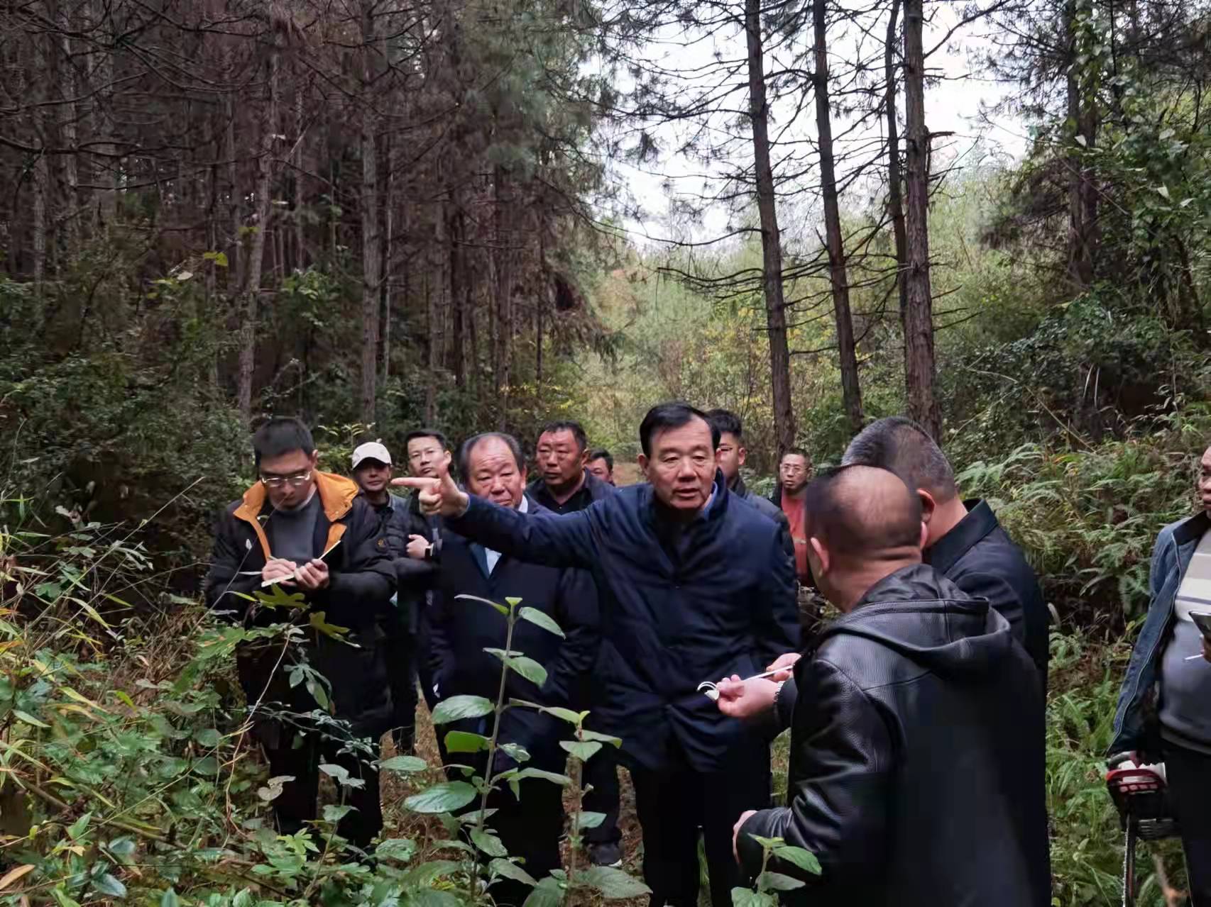 董事长率队赴湖南、江西考察林业基地