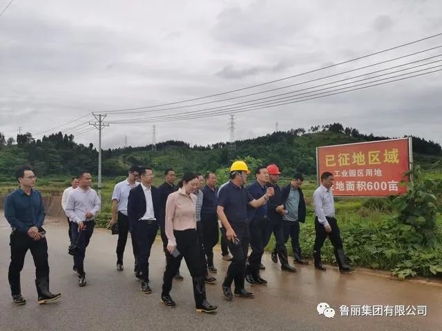 鲁丽集团有限公司董事长薛茂林到新田查看项目建设情况