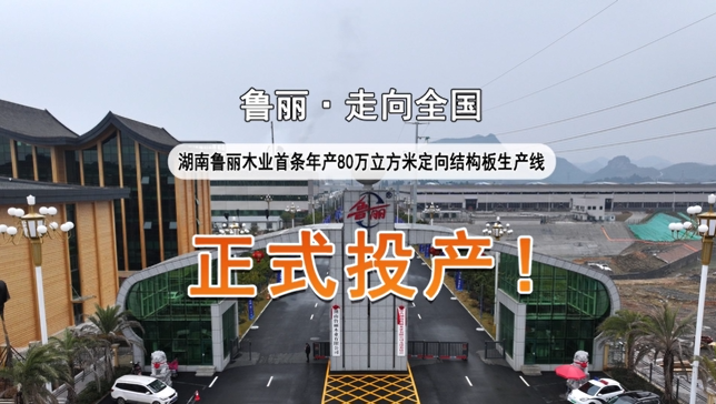 湖南鲁丽首条年产80万立方米定向结构板生产线正式投产