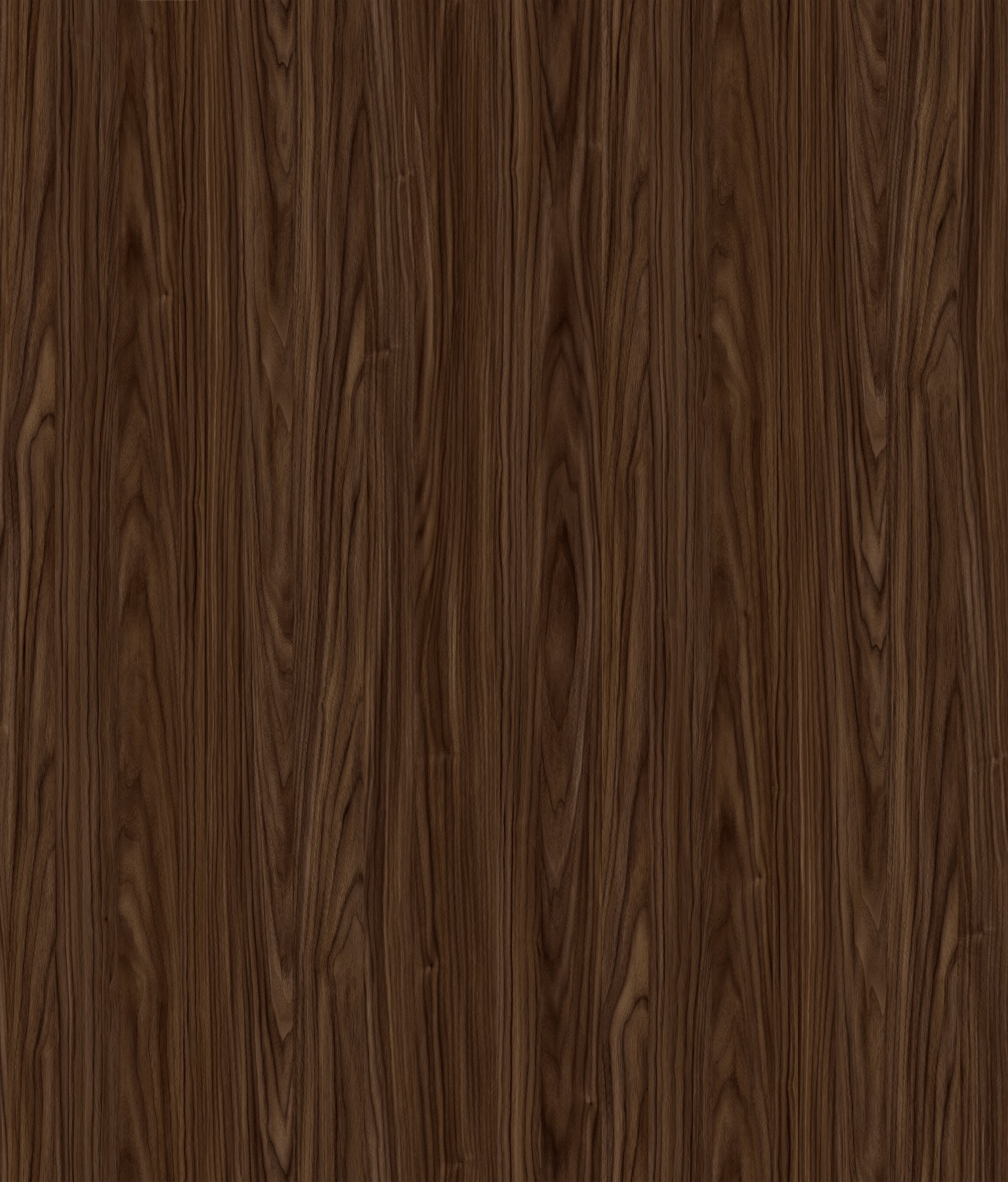 エクソンくるみ-2