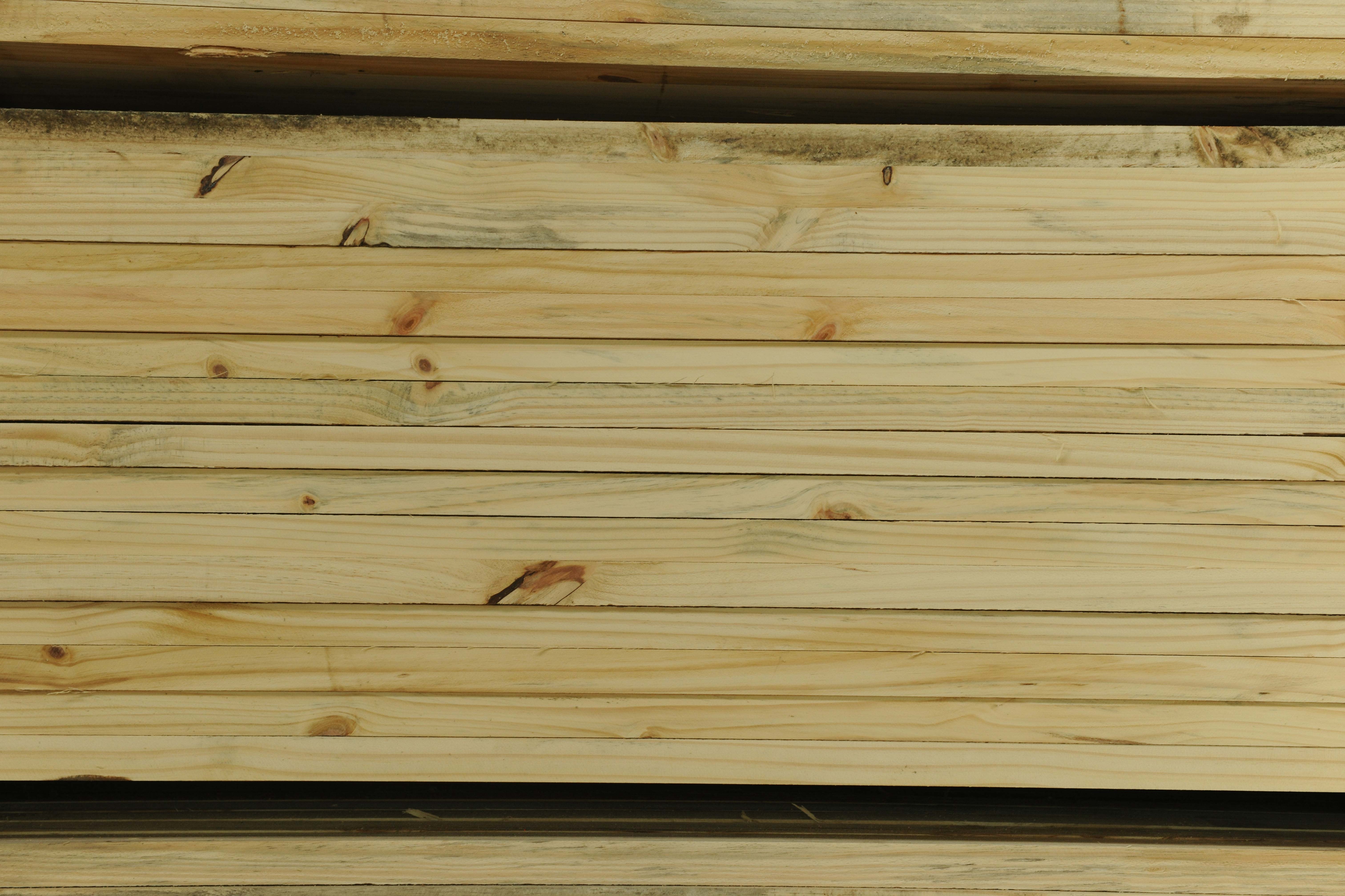 けんちくほうき