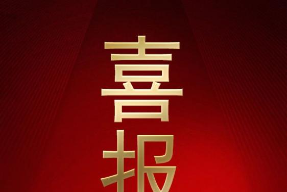 喜报丨鲁丽集团荣登“2025中国民营企业500强”第180位