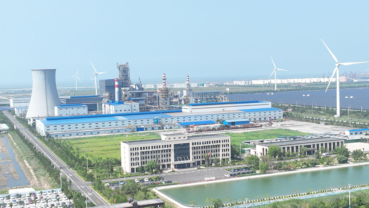 央视聚焦︱鲁丽集团产业转型升级  赋能经济量稳质升