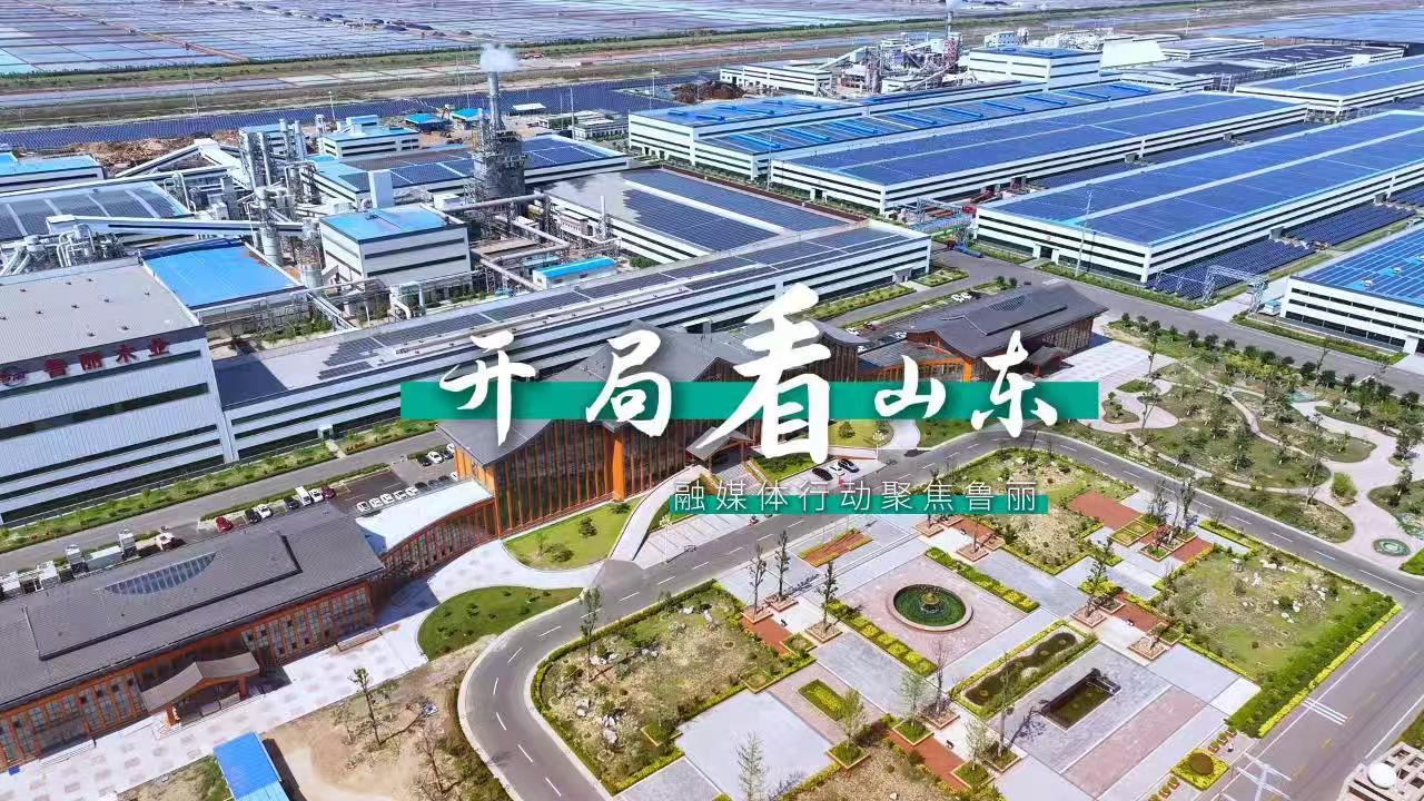 30多家广电媒体齐探访 探寻鲁丽从木匠作坊到500强的硬核成长史
