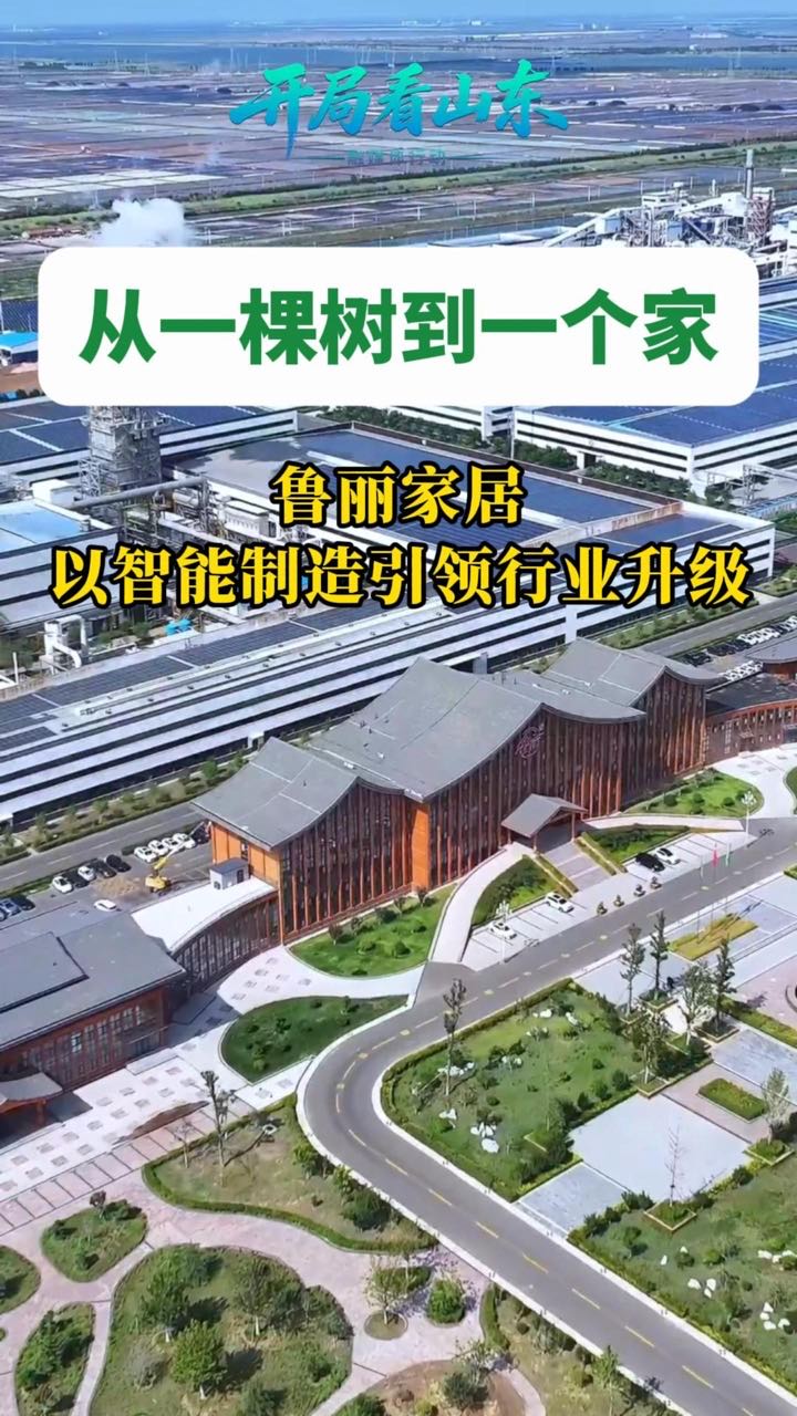 从一棵树到一个家  鲁丽家居以智能制造引领行业升级