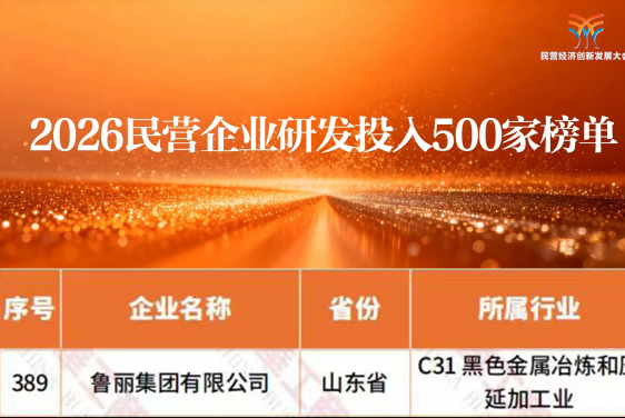 鲁丽集团上榜2026全国民营企业“研发投入500家”