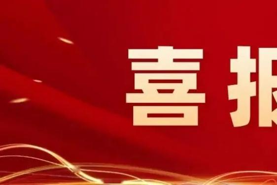 鲁丽集团荣登2026山东民营企业200强第23位、吸纳就业100强第48位